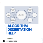 Algorithm Dissertation Help