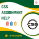 CSS Assignment Help