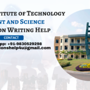 Neotia Institute of Technology Management and Science Dissertation Writing Help
