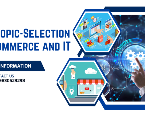 Ph.D. Topic-Selection in E-commerce and IT