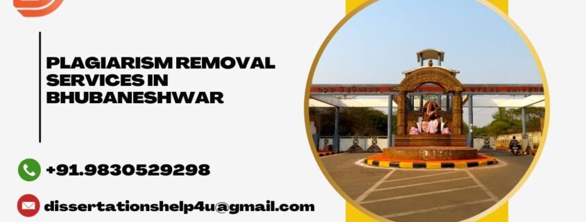 Plagiarism removal services in Bhubaneshwar