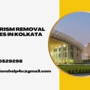 Plagiarism removal services in Kolkata Plagiarism removal services in Kolkata