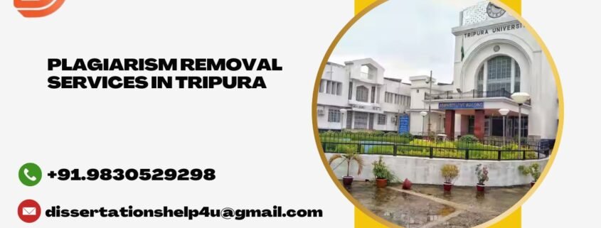 Plagiarism removal services in Tripura