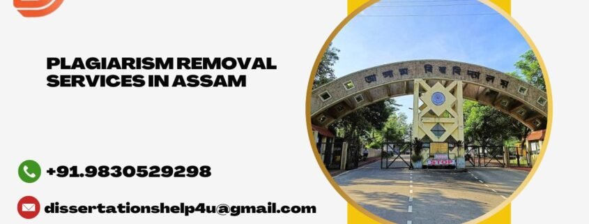 Plagiarism removal services in Assam