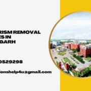 Plagiarism removal services in Chandigarh