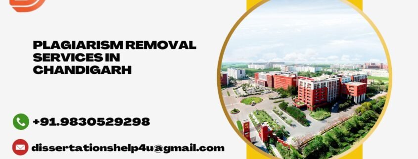 Plagiarism removal services in Chandigarh