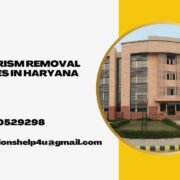 Plagiarism removal services in Haryana