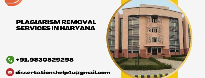 Plagiarism removal services in Haryana