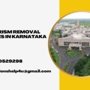 Plagiarism removal services in Karnataka