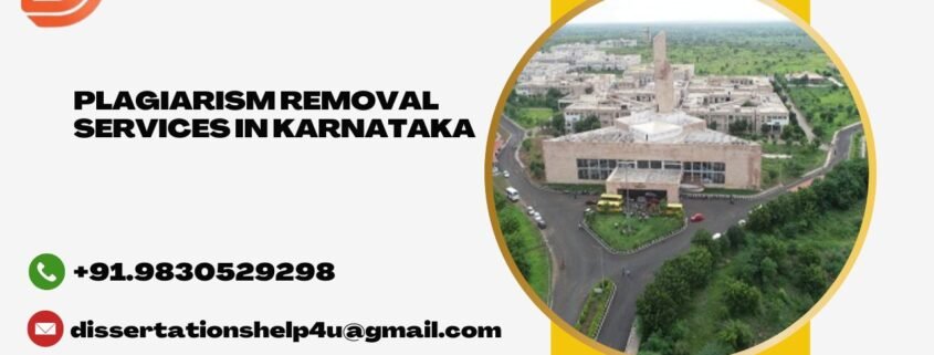 Plagiarism removal services in Karnataka