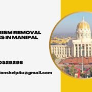 Plagiarism removal services in Manipal