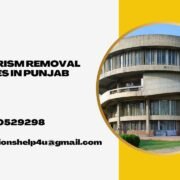 Plagiarism removal services in Punjab