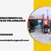 Plagiarism removal services in Telangana